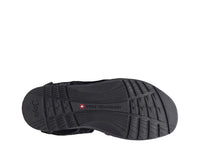 Komodo Black