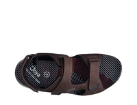 Alexander Dark Brown