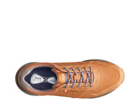 Dynamo Classic M Curry Brown